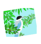 野鳥のスタンプ ”オナガ”（個別スタンプ：10）