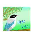 野鳥のスタンプ ”オナガ”（個別スタンプ：12）