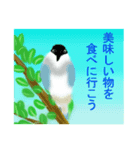 野鳥のスタンプ ”オナガ”（個別スタンプ：14）