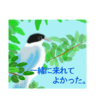 野鳥のスタンプ ”オナガ”（個別スタンプ：16）