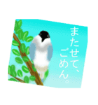野鳥のスタンプ ”オナガ”（個別スタンプ：20）