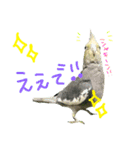 我が家のインコとうさぎ（個別スタンプ：7）