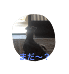 ハクちゃん（個別スタンプ：4）