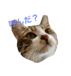 変顔エイト（個別スタンプ：2）