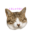 変顔エイト（個別スタンプ：4）