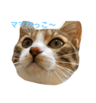 変顔エイト（個別スタンプ：5）
