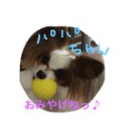 うちのミンこ（個別スタンプ：4）