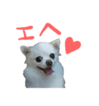 モル子スタンプ（個別スタンプ：2）