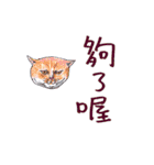 eh！cathead！（個別スタンプ：33）