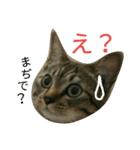にあんたれぶー（個別スタンプ：3）