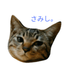 にあんたれぶー（個別スタンプ：12）