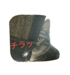 にあんたれぶー（個別スタンプ：13）