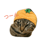 にあんたれぶー（個別スタンプ：14）