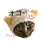 にあんたれぶー（個別スタンプ：15）