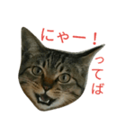 にあんたれぶー（個別スタンプ：18）
