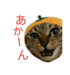 にあんたれぶー（個別スタンプ：21）