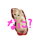 FIYU（個別スタンプ：1）