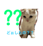 FIYU（個別スタンプ：4）