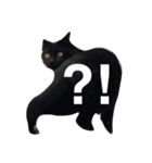 猫たちのほんわかスタンプ（個別スタンプ：8）