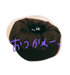 ネコのアディダス（個別スタンプ：6）