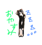 ネコのアディダス（個別スタンプ：8）