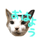 kotaro5（個別スタンプ：2）