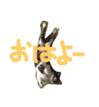 kotaro5（個別スタンプ：24）