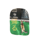OGURANEKO's（個別スタンプ：18）