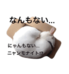 上から目線のニャンズwithワンコのスタンプ（個別スタンプ：7）