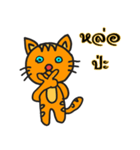 catcheer（個別スタンプ：4）