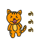 catcheer（個別スタンプ：11）