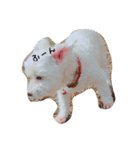 愛犬ちゃん達♡（個別スタンプ：3）