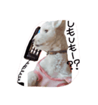 愛犬ちゃん達♡（個別スタンプ：4）