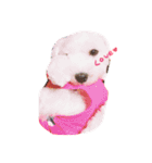 愛犬ちゃん達♡（個別スタンプ：8）