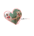 愛犬ちゃん達♡（個別スタンプ：14）