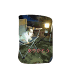 roro daily（個別スタンプ：8）