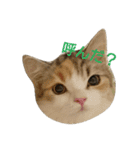 Kiki's feeling（個別スタンプ：3）
