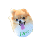 ポピーさん（個別スタンプ：5）