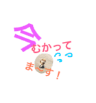 しろとちゃのチワワ（個別スタンプ：12）