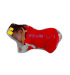そうがくん（個別スタンプ：1）