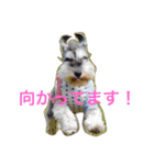 さだくろう（個別スタンプ：6）