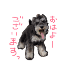 さだくろう（個別スタンプ：12）