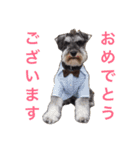 さだくろう（個別スタンプ：30）