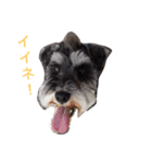 さだくろう（個別スタンプ：32）