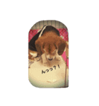 Dog_B（個別スタンプ：5）