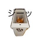5cats life（個別スタンプ：11）