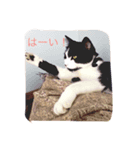 IshyとQuee（個別スタンプ：4）