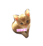 ちゃちゃの日常 1（個別スタンプ：1）