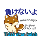 犬の気持ち 日本語インドネシア語（個別スタンプ：25）