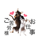 神谷犬②（個別スタンプ：32）
